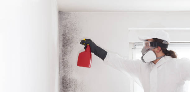 Best Commercial Mold Removal  in Slocom, AL
