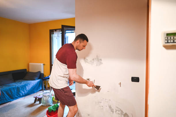 Best Mold Damage Repair  in Slocom, AL