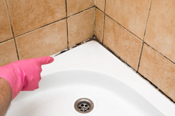 Best Mold Cleaning Services  in Slocom, AL